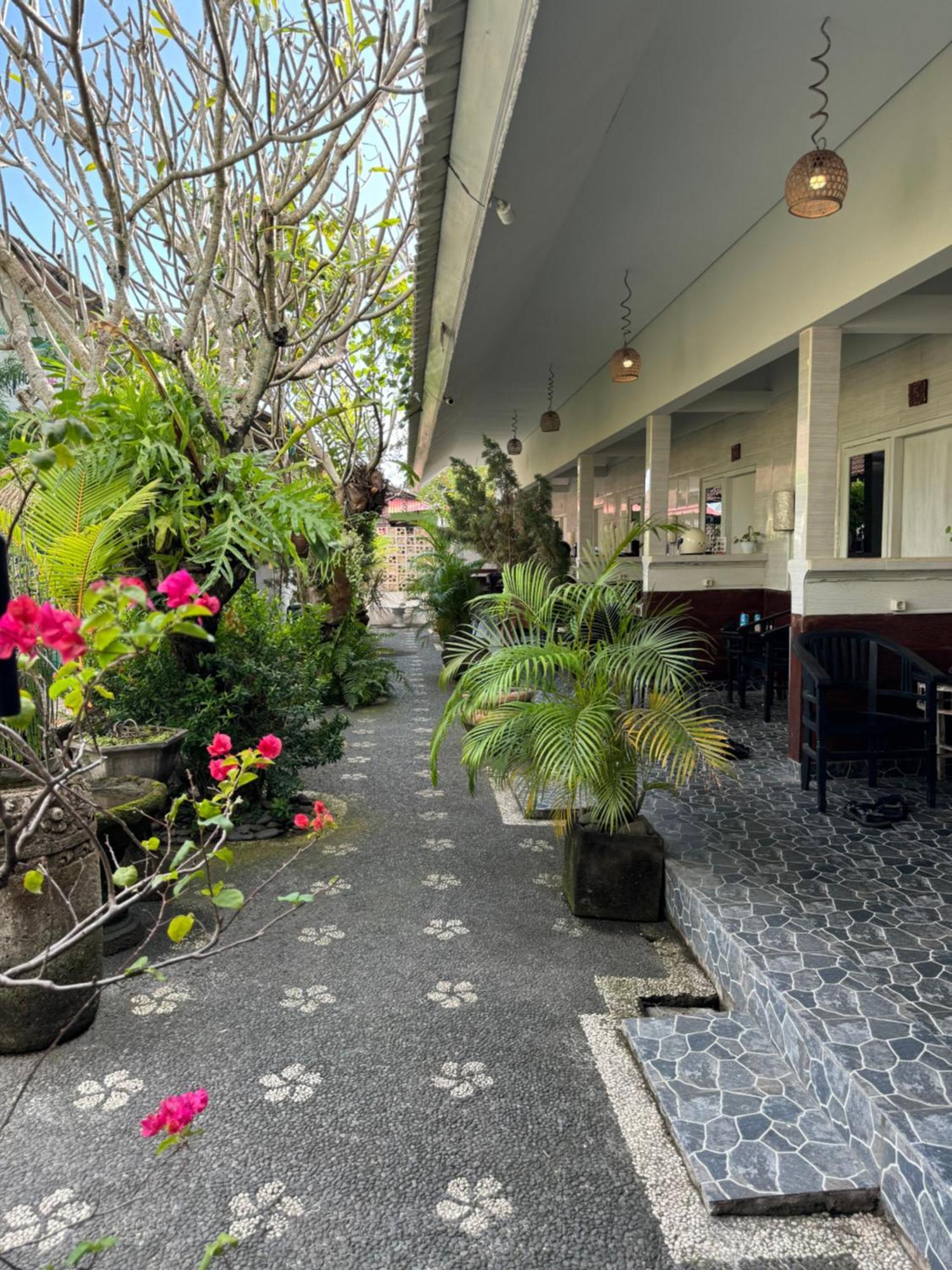 坎古 巴厘岛46旅馆酒店 外观 照片